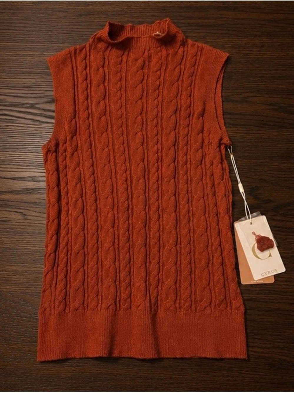 Cyrus Cable Knit Sleeveless Mock Neck Top - Rust